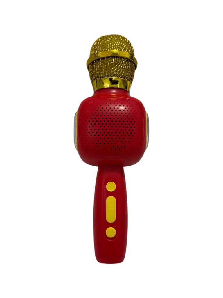 Mic 1.webp